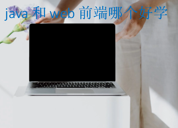 java和web前端哪個好學(xué)