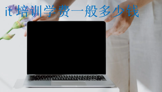 it培訓(xùn)學(xué)費一般多少錢