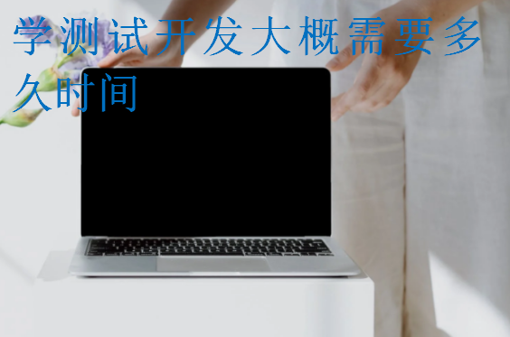 學測試開發(fā)大概需要多久時間