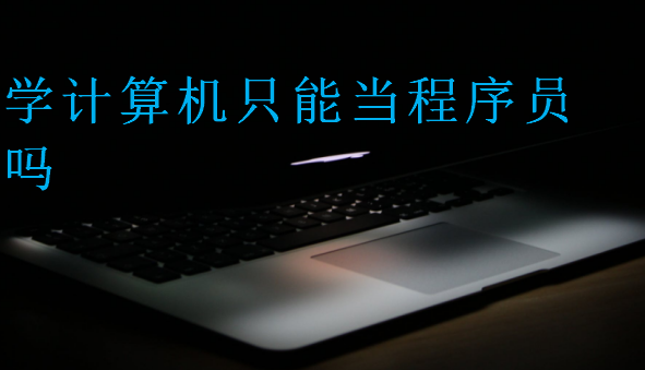 學(xué)計算機(jī)只能當(dāng)程序員嗎
