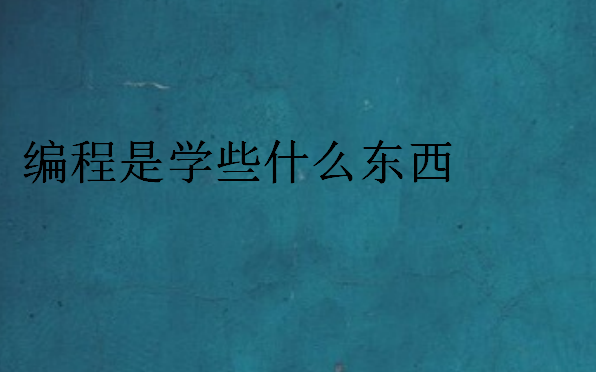 編程是學(xué)些什么東西