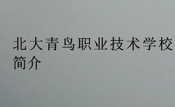 北大青鳥職業(yè)技術(shù)學校簡介
