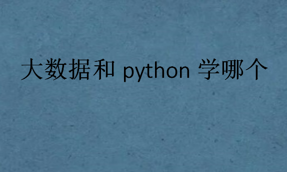 大數(shù)據(jù)和python學(xué)哪個