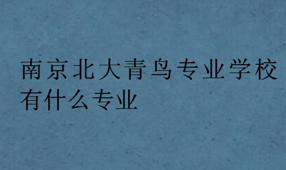 南京北大青鳥專業(yè)學(xué)校有什么專業(yè)