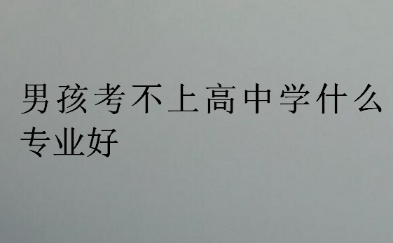 男孩考不上高中學(xué)什么專業(yè)好