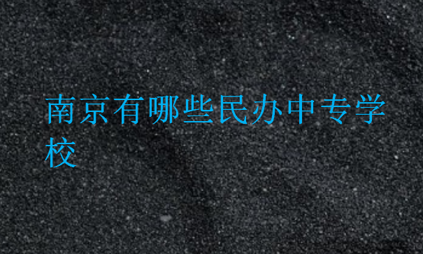 南京有哪些民辦中專學校