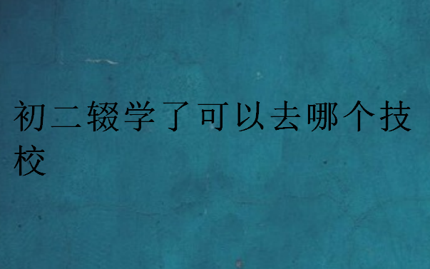 初二輟學(xué)了可以去哪個技校