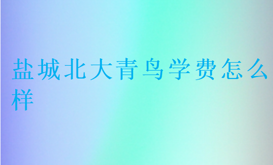 鹽城北大青鳥(niǎo)學(xué)費(fèi)怎么樣