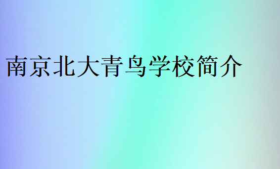 南京北大青鳥學(xué)校簡介