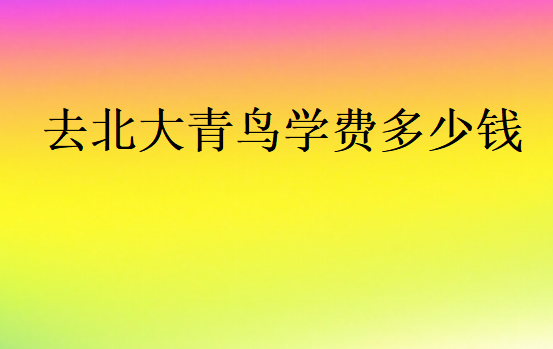 去北大青鳥學費多少錢