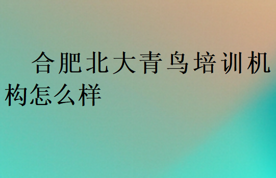 合肥北大青鳥培訓(xùn)機構(gòu)怎么樣