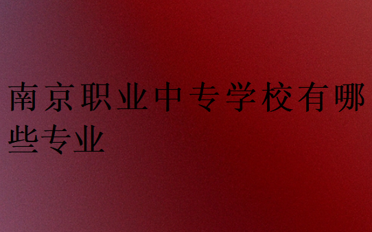 南京職業(yè)中專學校有哪些專業(yè)