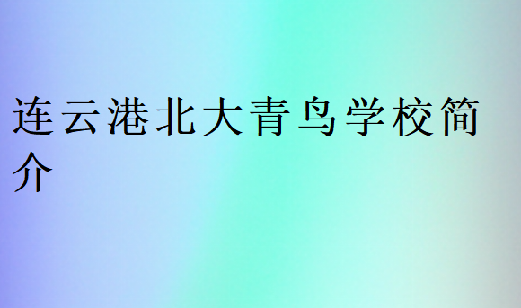 連云港北大青鳥學(xué)校簡介