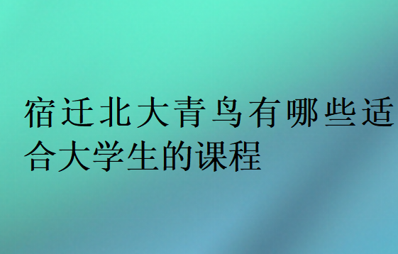 宿遷北大青鳥有哪些適合大學(xué)生的課程