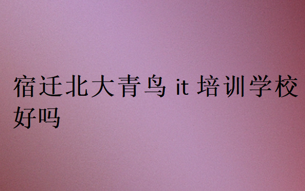宿遷北大青鳥(niǎo)it培訓(xùn)學(xué)校好嗎