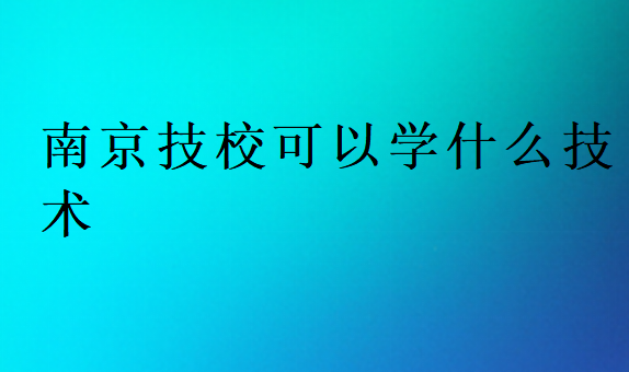南京技?？梢詫W什么技術