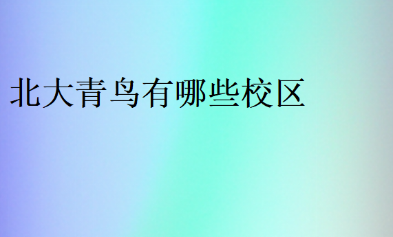 北大青鳥哪個校區(qū)比較有實力