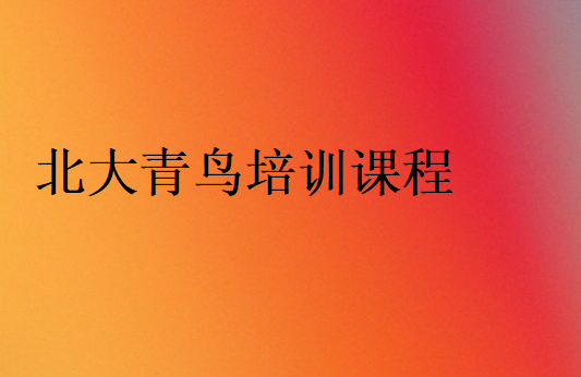 北大青鳥培訓(xùn)課程