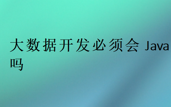 大數(shù)據(jù)開發(fā)必須會Java嗎