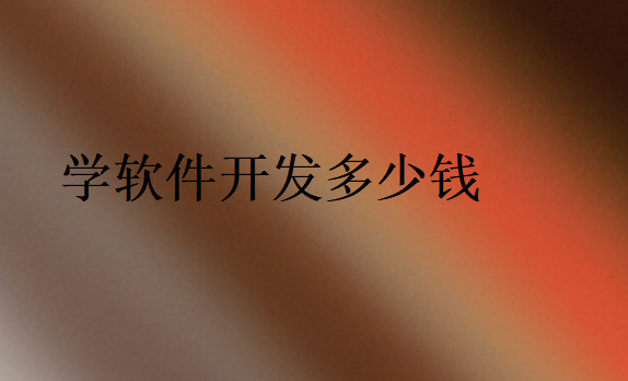 學(xué)軟件開發(fā)去哪個學(xué)校