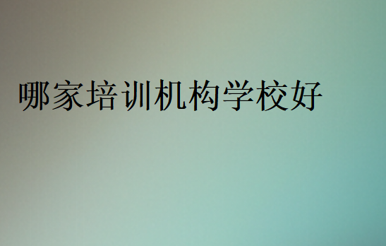 哪家培訓(xùn)機(jī)構(gòu)學(xué)校好
