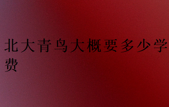 北大青鳥(niǎo)大概要多少學(xué)費(fèi)