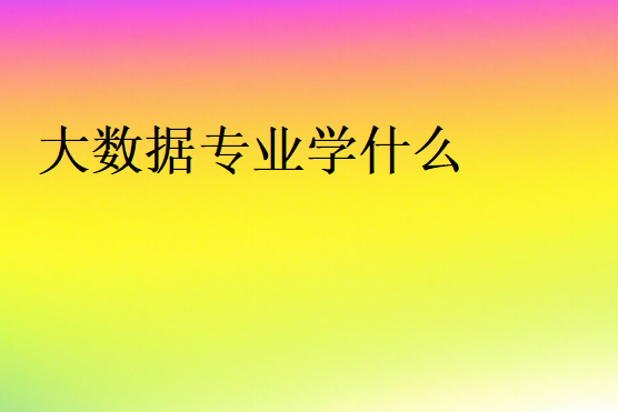 大數(shù)據(jù)專(zhuān)業(yè)學(xué)什么