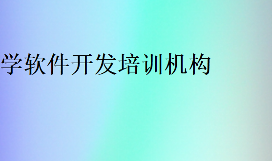 學(xué)軟件開(kāi)發(fā)培訓(xùn)機(jī)構(gòu)